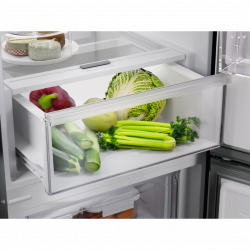 Frigorífico Combinado AEG ORC6N321DS