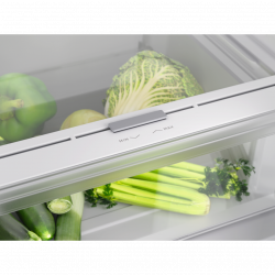 Frigorífico Combinado AEG ORC6N361DS