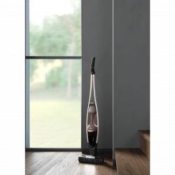Aspirador Vertical AEG AS62A252XN
