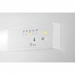Frigorífico Combinado Electrolux ENT6NE18S