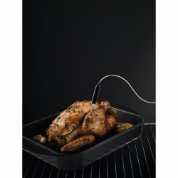 Forno AEG BPE546360M